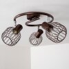 Cancun ceiling spotlight brown, 3-light sources