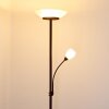 GISMARO Floor Lamp rust-coloured, 3-light sources