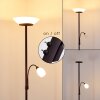 GISMARO Floor Lamp rust-coloured, 3-light sources