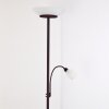 GISMARO Floor Lamp rust-coloured, 3-light sources