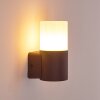 Buhrkall Outdoor Wall Light rust-coloured, 1-light source