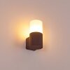 Buhrkall Outdoor Wall Light rust-coloured, 1-light source