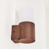 Buhrkall Outdoor Wall Light rust-coloured, 1-light source