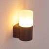 Buhrkall Outdoor Wall Light rust-coloured, 1-light source