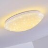Brighton STAR Ceiling light LED white, 1-light source, Remote control, Colour changer