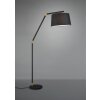Floor Lamp Trio Leuchten TRACY black, 1-light source