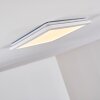 Siguna Ceiling Light LED white, 1-light source