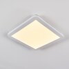 Siguna Ceiling Light LED white, 1-light source