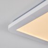Siguna Ceiling Light LED white, 1-light source