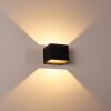 Chuitna Wall Light LED black, 2-light sources