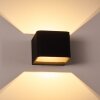 Chuitna Wall Light LED black, 2-light sources