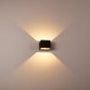 Chuitna Wall Light LED black, 2-light sources
