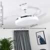 BENDIGO ceiling fan LED chrome, transparent, clear, white, 1-light source