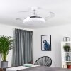 BENDIGO ceiling fan LED chrome, transparent, clear, white, 1-light source