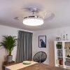 BENDIGO ceiling fan LED chrome, transparent, clear, white, 1-light source