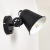 Pany Wall Light black, 1-light source