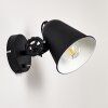 Pany Wall Light black, 1-light source