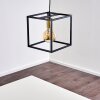 IBUSUKI Pendant Light gold, brass, black, 1-light source