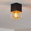 AGAWAM Ceiling Light black, 1-light source