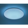 Ceiling Light Trio Leuchten WiZ NALIDA LED white, 1-light source, Remote control, Colour changer