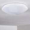 Brighton Ceiling light LED white, 1-light source, Remote control, Colour changer
