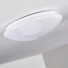 Brighton Ceiling light LED white, 1-light source, Remote control, Colour changer