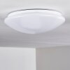 Brighton Ceiling light LED white, 1-light source, Remote control, Colour changer
