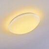Brighton Ceiling light LED white, 1-light source, Remote control, Colour changer