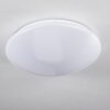 Brighton Ceiling light LED white, 1-light source, Remote control, Colour changer