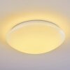 Brighton Ceiling light LED white, 1-light source, Remote control, Colour changer