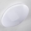 Brighton Ceiling light LED white, 1-light source, Remote control, Colour changer