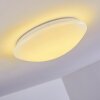 Brighton Ceiling light LED white, 1-light source, Remote control, Colour changer