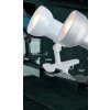 Globo BASIC clamp-on light white, 1-light source