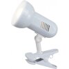 Globo BASIC clamp-on light white, 1-light source