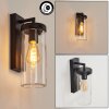 Alegcirasn Outdoor Wall Light black, 1-light source