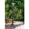 Philips myGarden CREEK path light black, transparent, clear, 1-light source