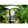 Philips myGarden CREEK path light black, transparent, clear, 1-light source