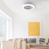 Leuchten-Direkt LEONARD Ceiling Light LED matt nickel, 1-light source