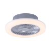 Leuchten-Direkt LEONARD Ceiling Light LED matt nickel, 1-light source