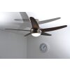 Globo FABIOLA fan stainless steel, matt nickel, 1-light source, Remote control