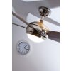 Globo FABIOLA fan stainless steel, matt nickel, 1-light source, Remote control