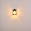 Trosa Outdoor Wall Light black, 1-light source
