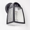 Trosa Outdoor Wall Light black, 1-light source