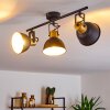 BORIK Ceiling Light black, 3-light sources