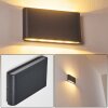 Outdoor Wall Light Tinglev LED anthracite, 2-light sources