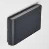 Outdoor Wall Light Tinglev LED anthracite, 2-light sources