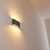 Outdoor Wall Light Tinglev LED anthracite, 2-light sources