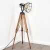 CETONA Floor Lamp Light wood, 1-light source
