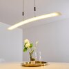 Delaware Pendant Light LED silver, 1-light source