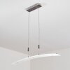 Delaware Pendant Light LED silver, 1-light source